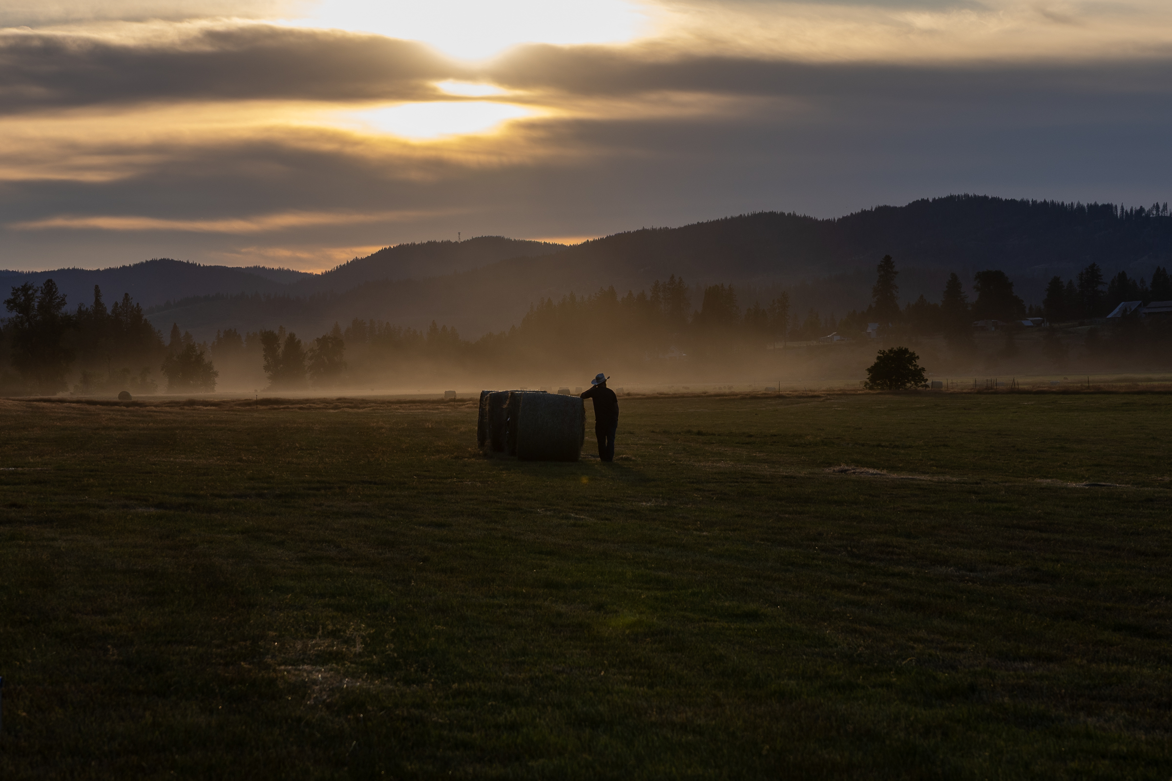 Mission Ranch land and herd in North Idaho